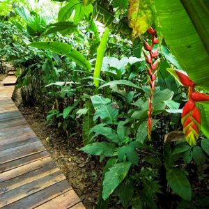 Ecolodge Calanoa 1