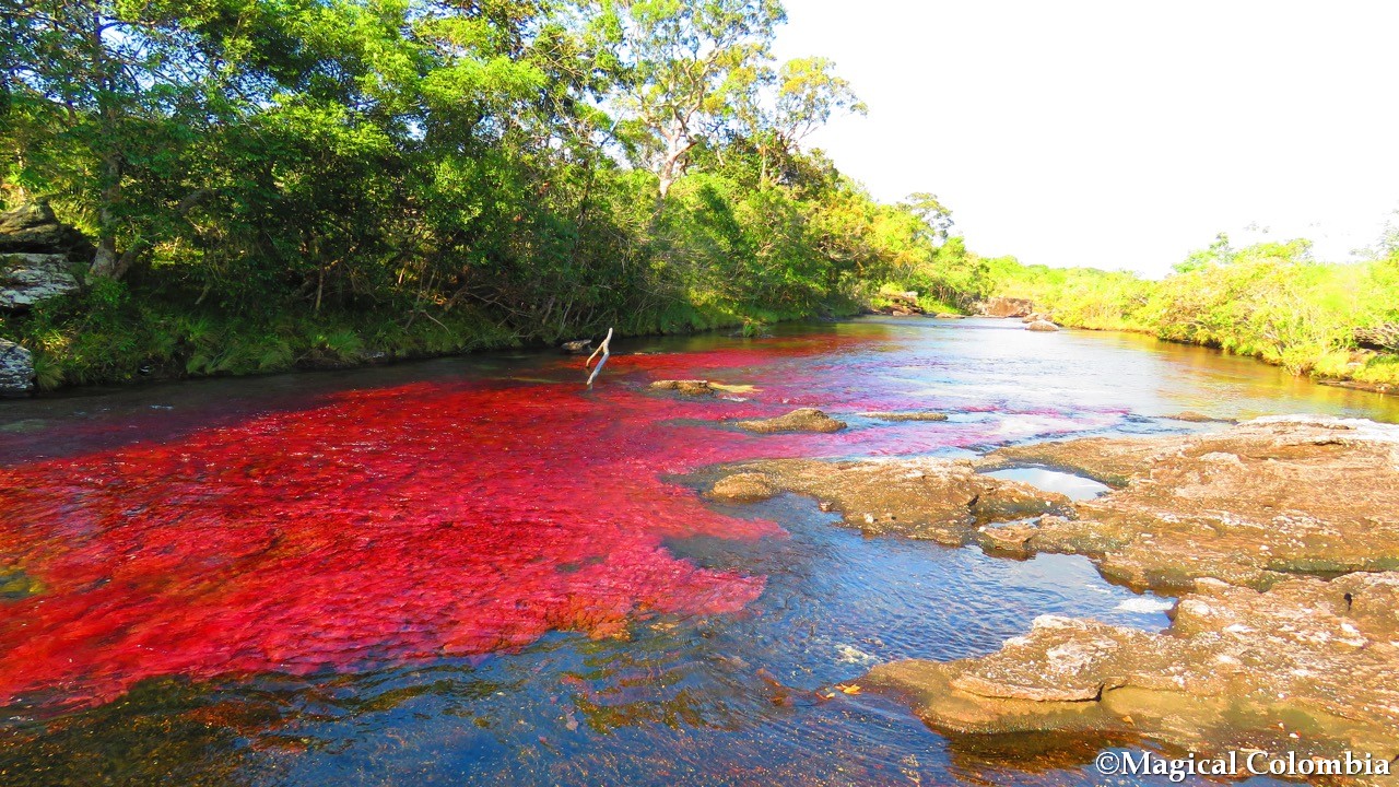 Caňo Cristales 27 - Dario Gonzalez