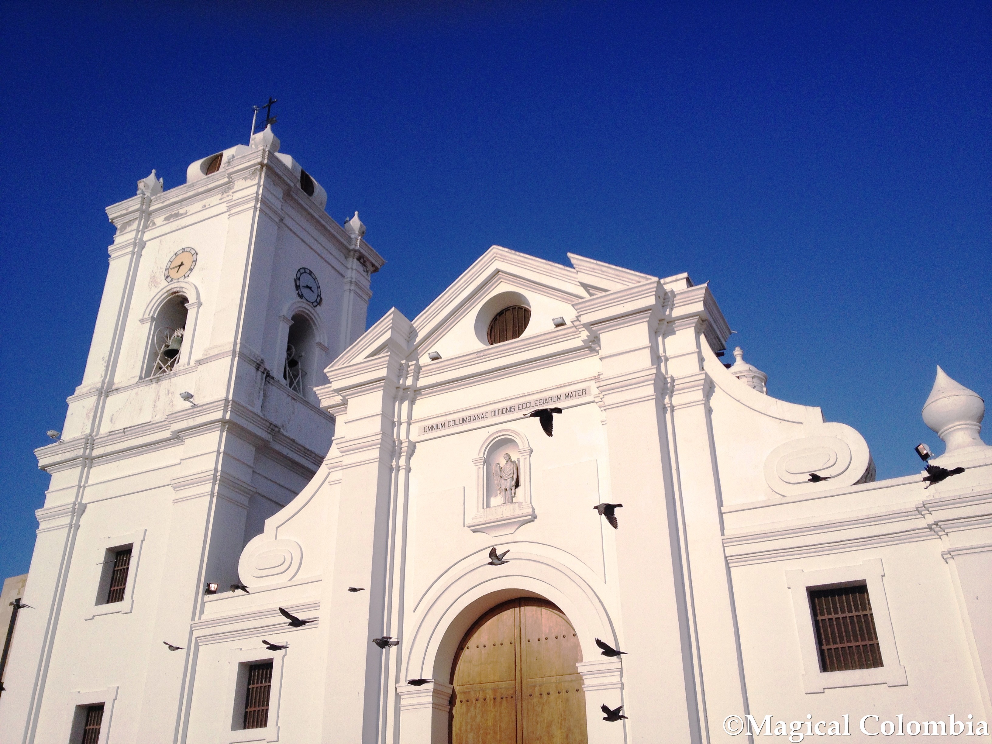 Santa Marta 19 - Dario Gonzalez