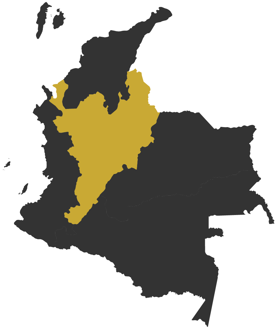 Andes