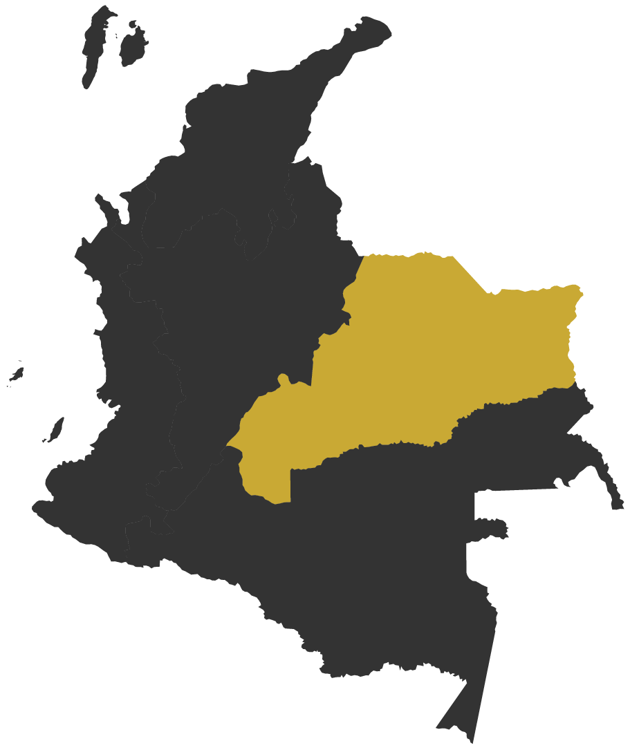 Orénoquie