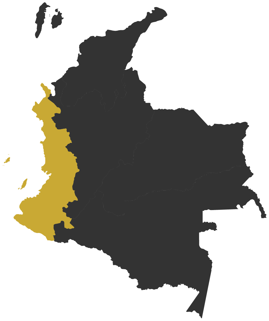 Pacifique