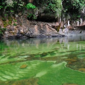 Reserve Río Claro