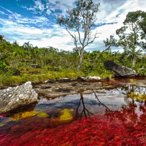 Caño Cristales