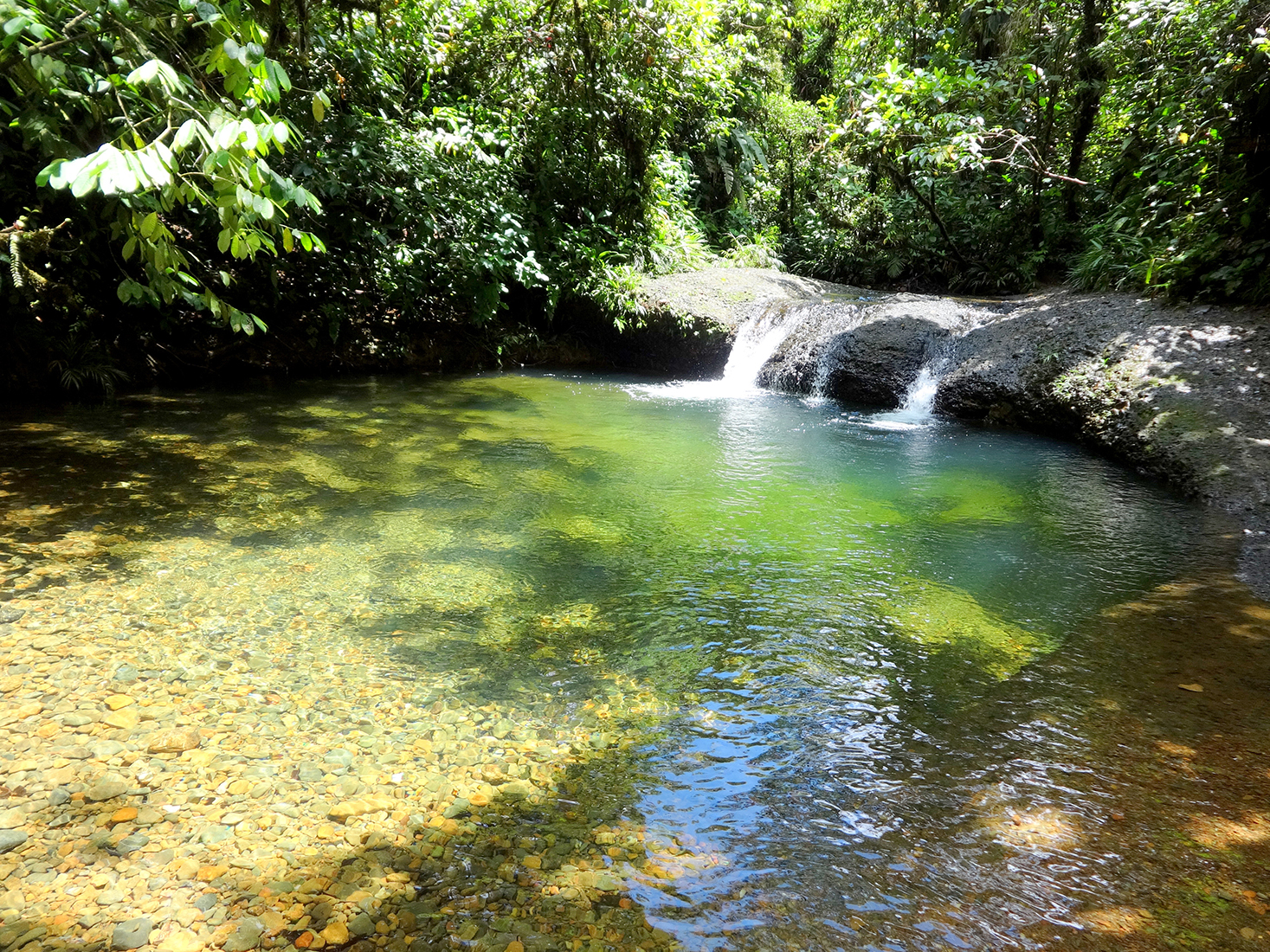 TOUR COLOMBIA BIODIVERSA SAN CIPRIANO