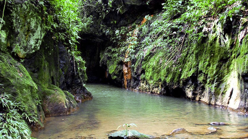 TOUR COLOMBIA MAGIA SALVAJE CIUDAD PERDIDA 4