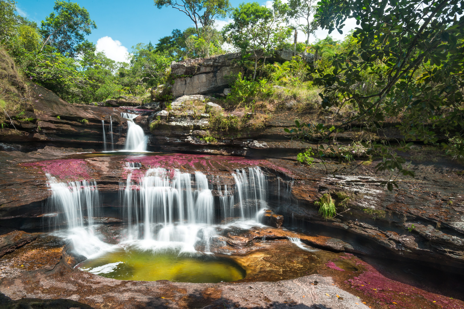 TOUR MAGIA SALVAJE CAÑO CRISTALES 3