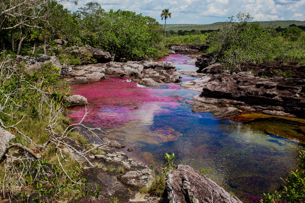 TOUR MAGIA SALVAJE CAÑO CRISTALES 5