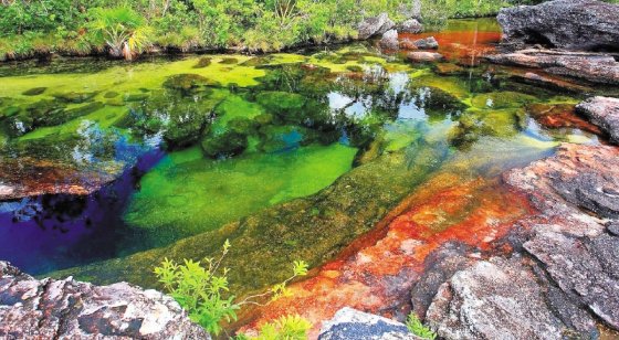 TOUR MAGIA SALVAJE CAÑO CRISTALES 7