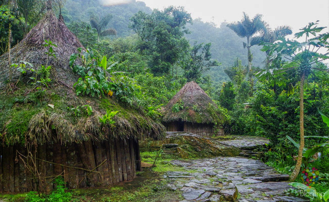 TOUR MAGIA SALVAJE CIUDAD PERDIDA 2