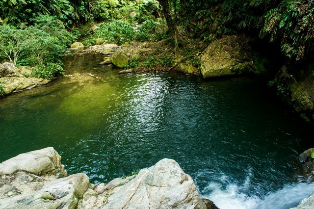 TOUR MAGIA SALVAJE CIUDAD PERDIDA 3