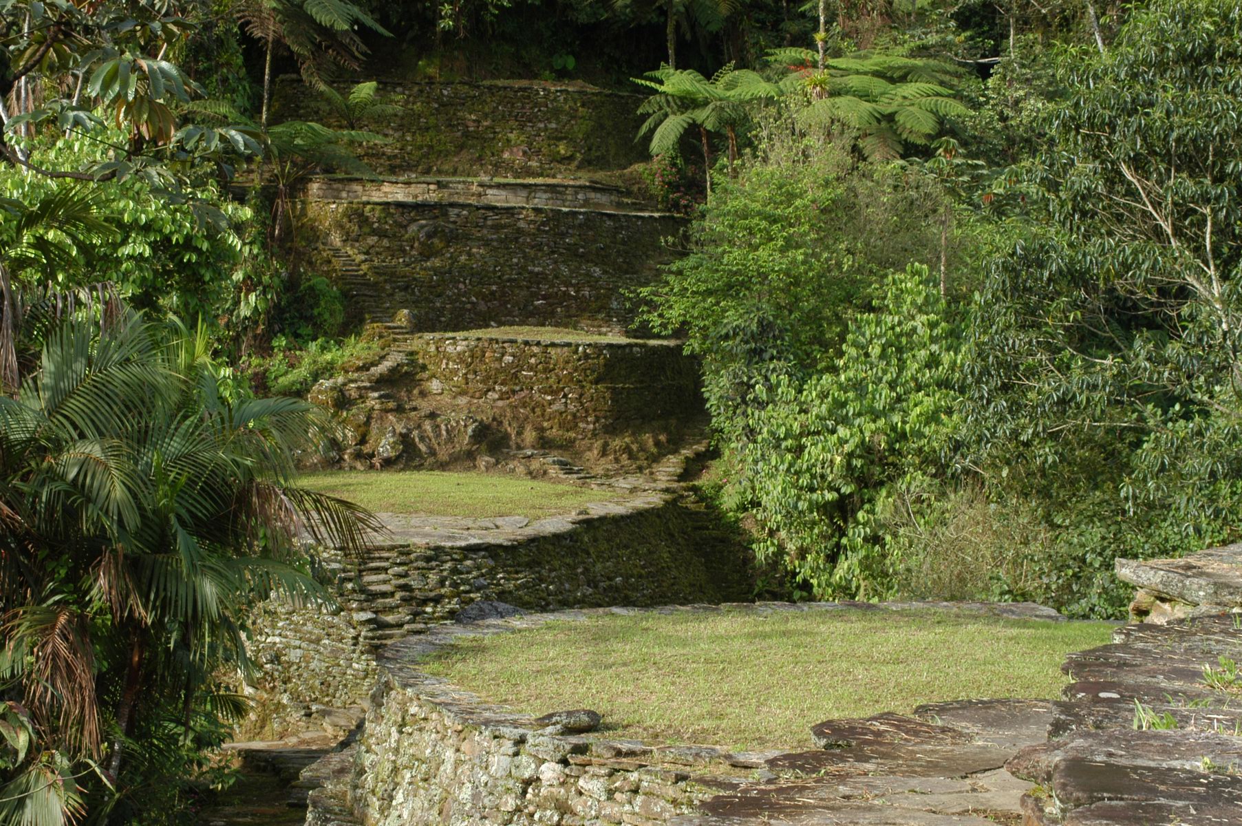 TOUR MAGIA SALVAJE CIUDAD PERDIDA 4