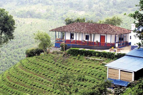 TOUR MAGICAL COLOMBIA CAFE 2