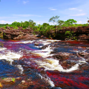 Caño cristales naturaleza
