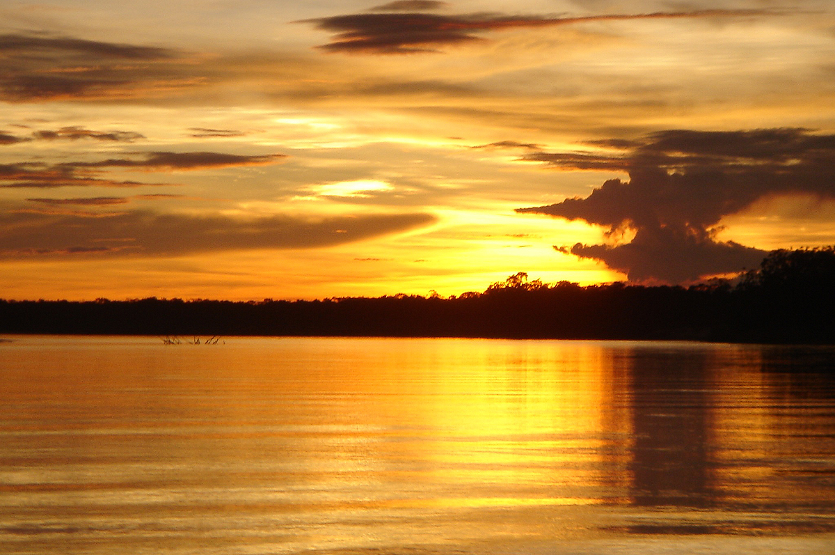 casanare 1