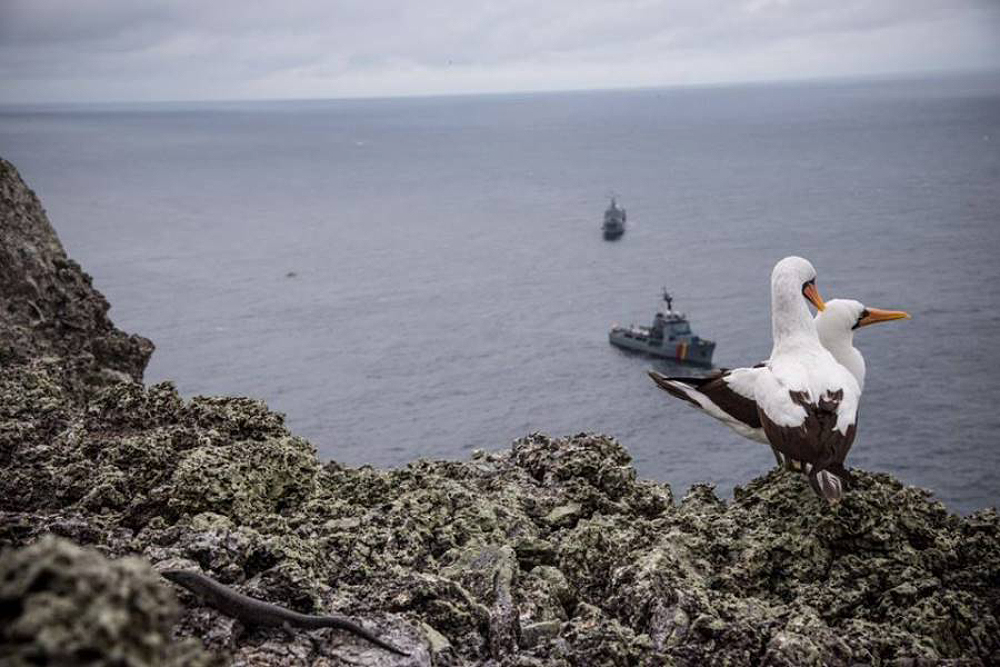 malpelo_sanctuary_tourism_colombia5