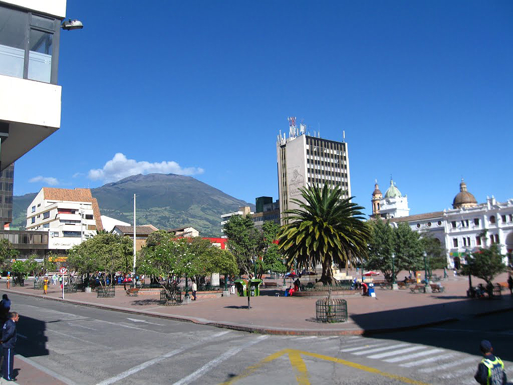pasto 1