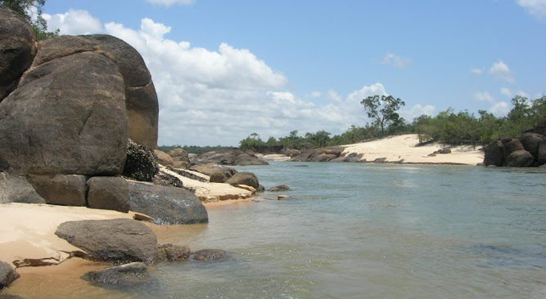 vichada 1