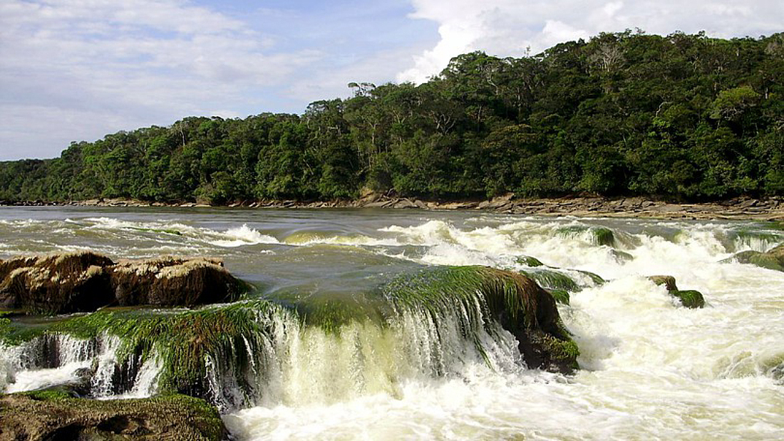vichada 3