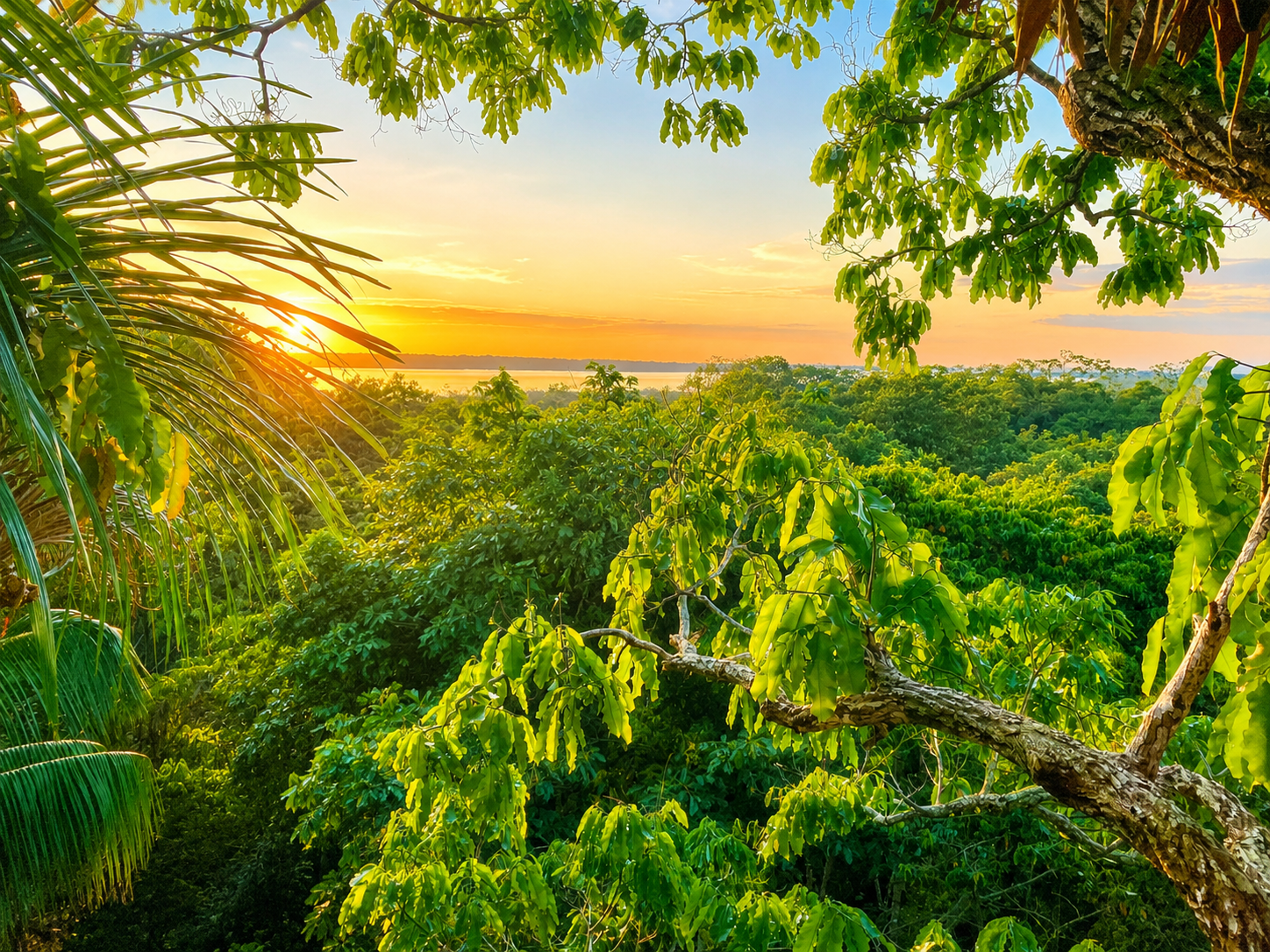Amazonas