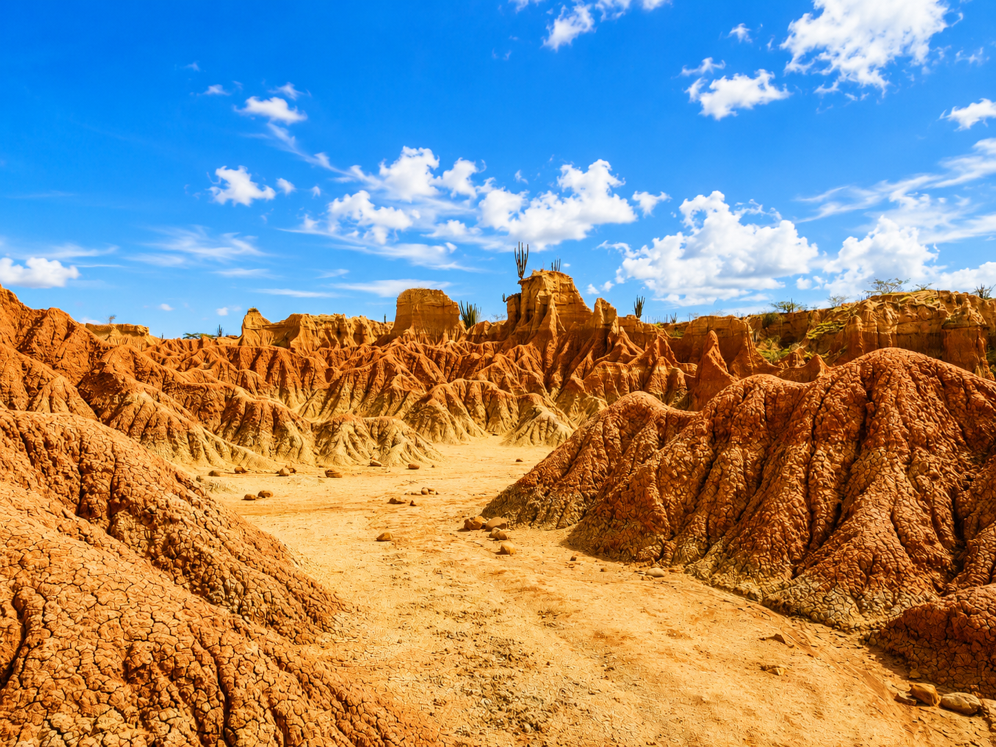 Desierto de La Tatacoa