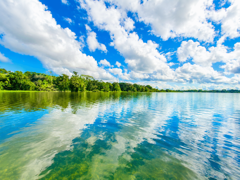 Río Amazonas